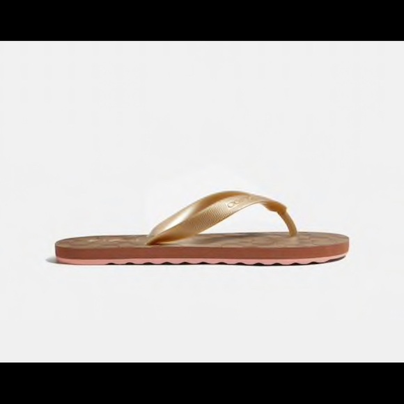Flipflops from Coach . Khaki Gold color , perfect this summer season - Picture 5 of 5